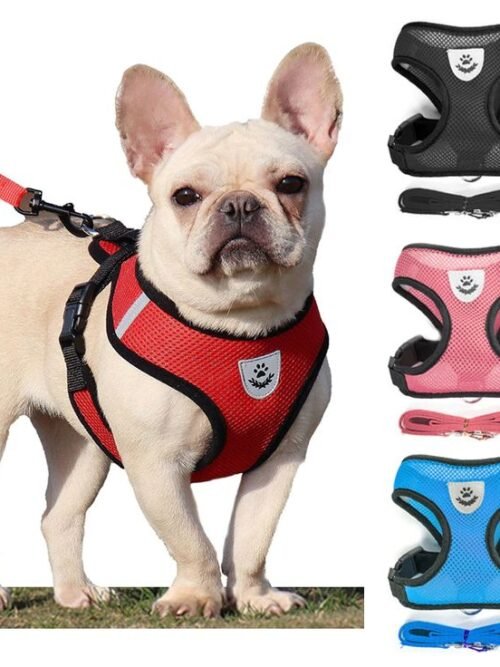 #EANF# Adjustable Mesh Dog Harness Set